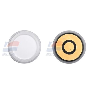 ASR-11-21 고급 갈바닉 - 산업 공정 모니터링 특수 현장 감지를 위한 갈바닉 산소 센서