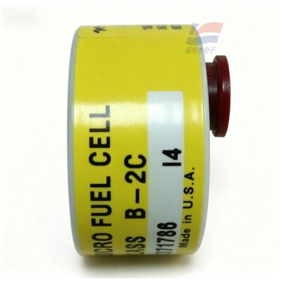 YJJ C06689-B2C 반도체 전자 제조용 B-2C 클래스 0-10ppm 추적 산소 센서